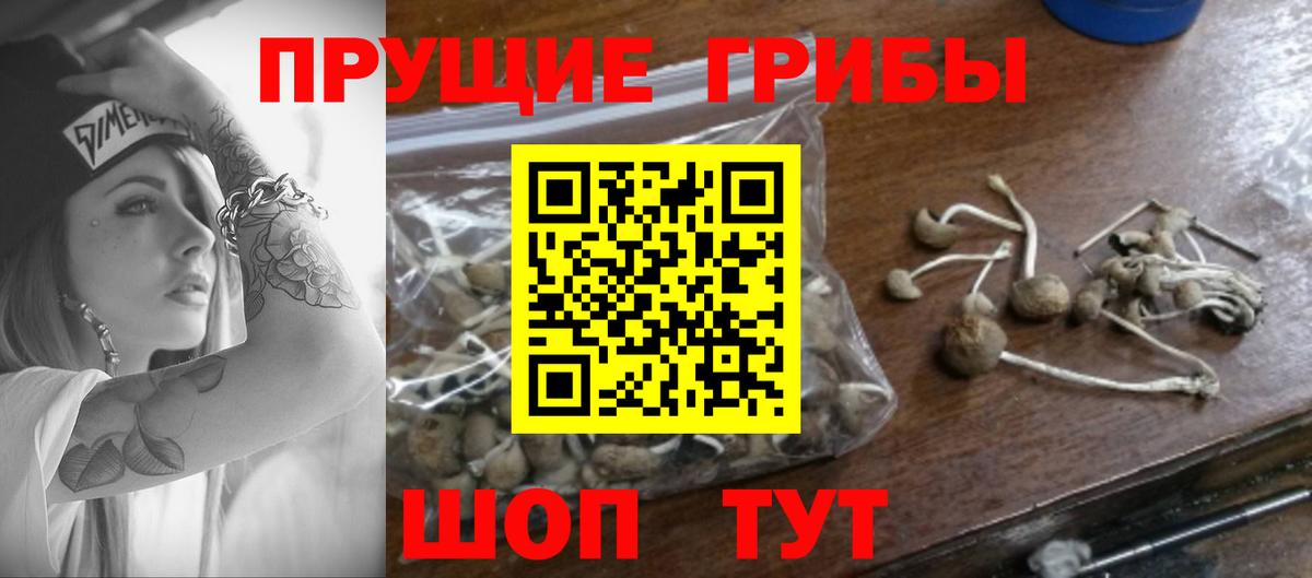Ставрополь  Галлюциногенные грибы Psilocybine cubensis  Галлюциногенные грибы ЛСД  Вход с VPN 